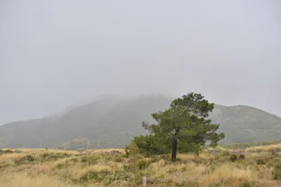 DSC_6838 (Large).JPG